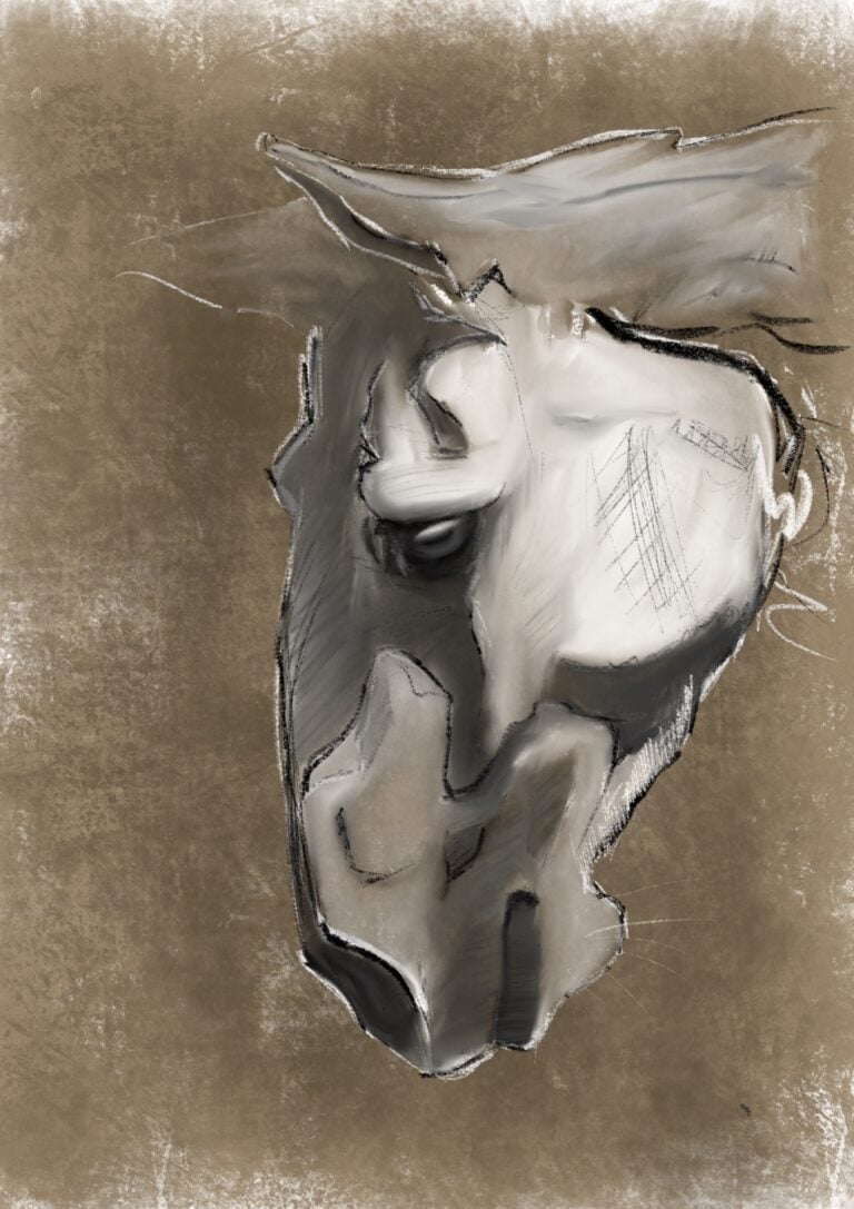 A horse with no name