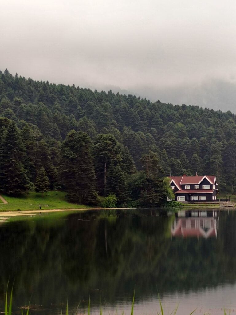 ŞebnemTan_NO09