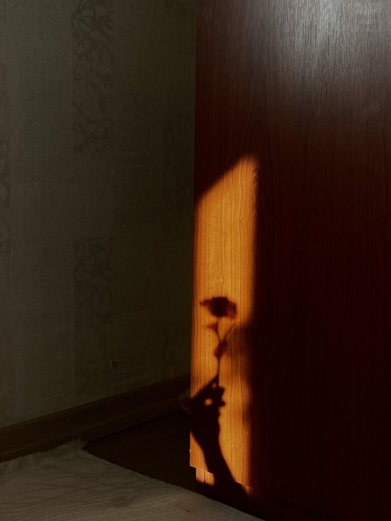 YağmurAlkan_No.14