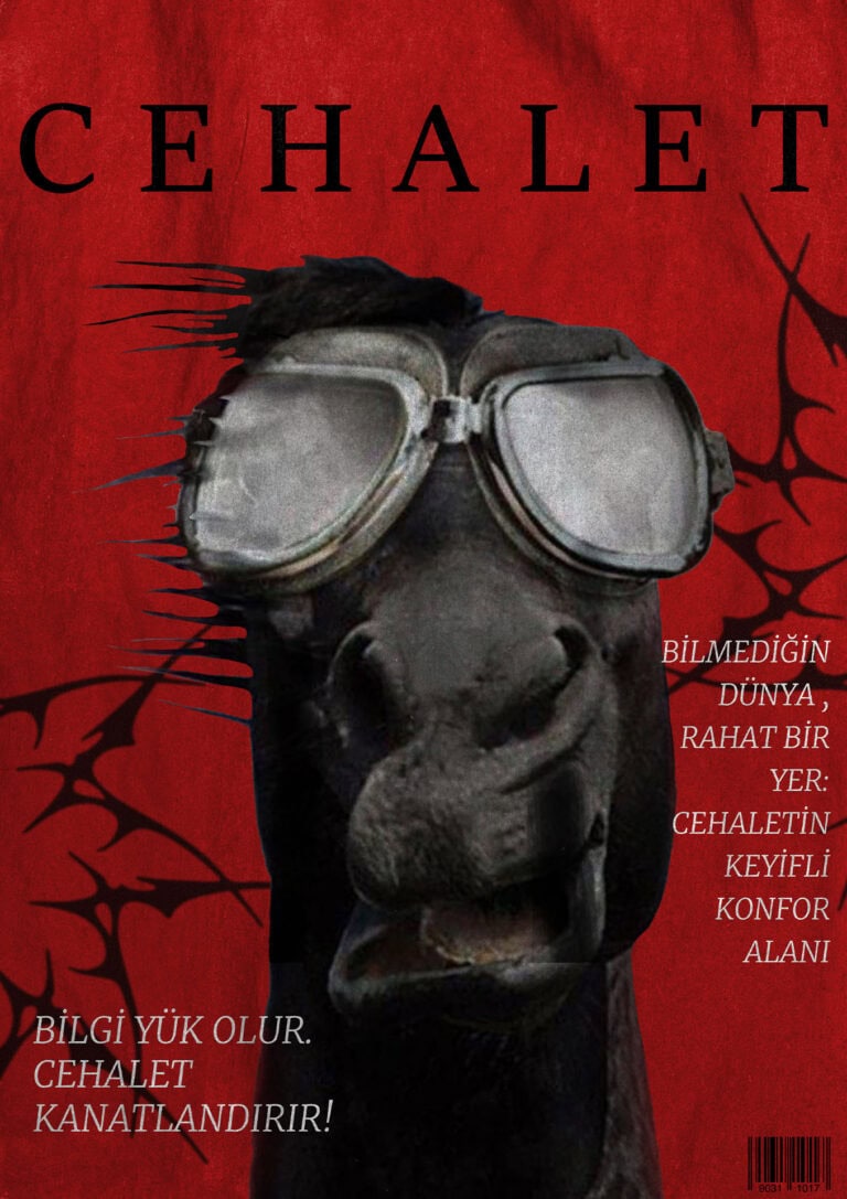 cehalet_04
